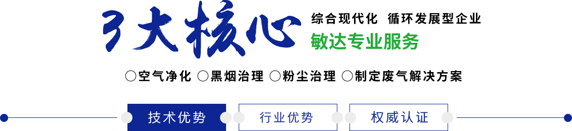 国外超嫩逼视频敏达环保科技（嘉兴）有限公司